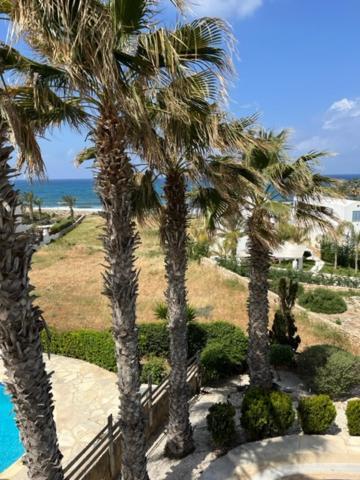 Sky Villa Pafos Dış mekan fotoğraf